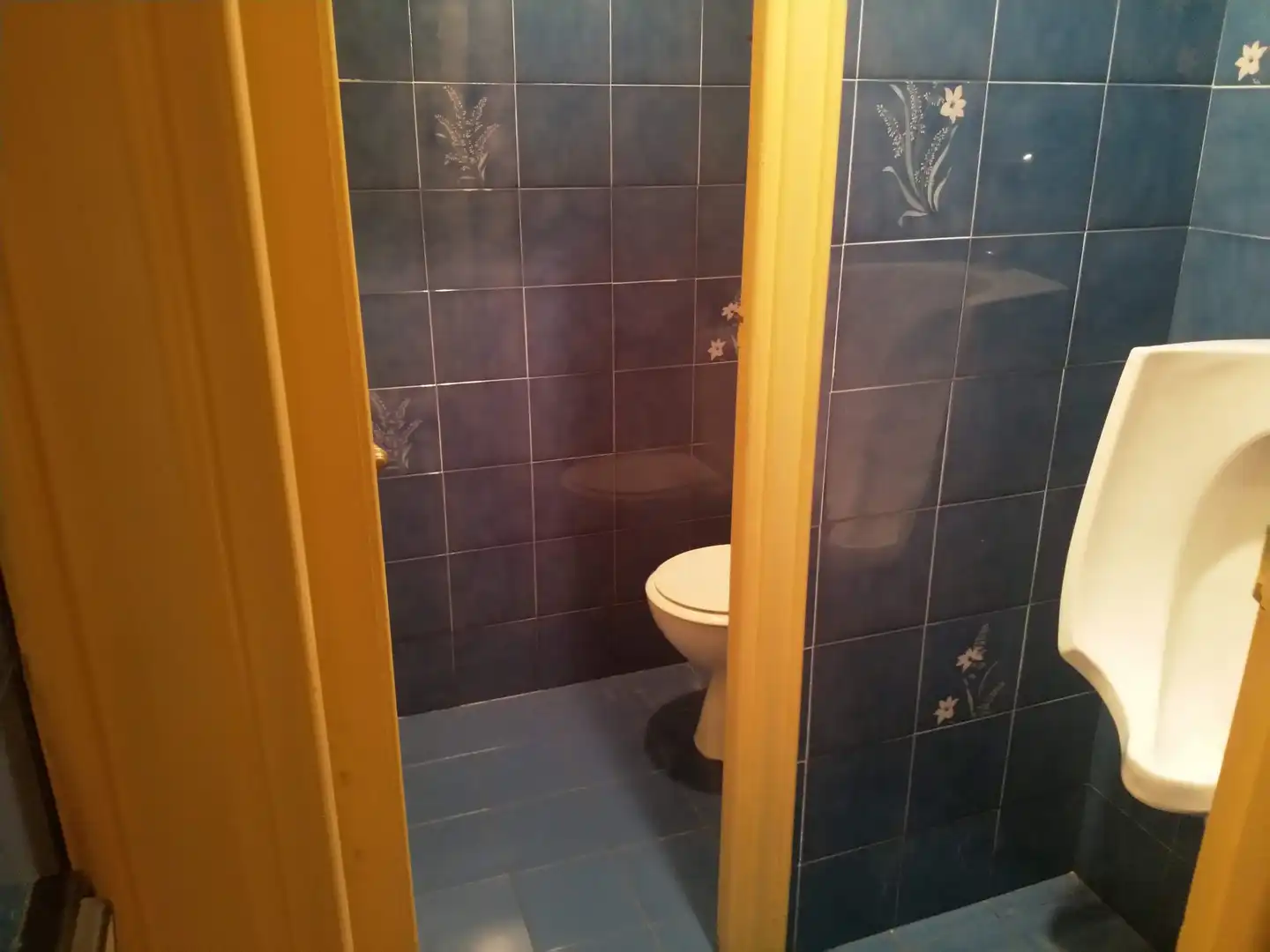 Baño de Local en venta en Errenteria