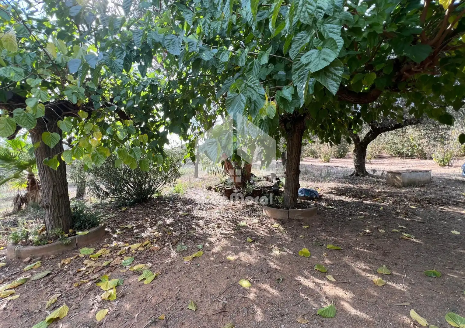Jardín de Terreno en venta en La Selva del Camp, Tarragona