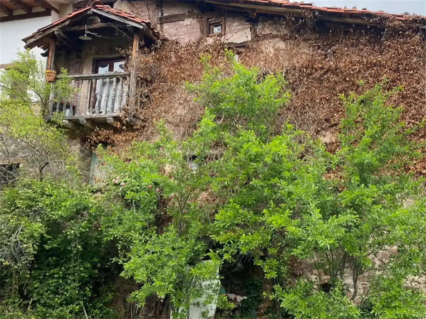 Vista exterior de Finca rústica en venda en Rabanera amb Jardí privat i Traster