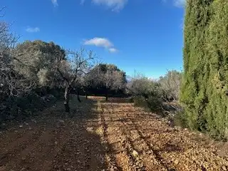 Terreno rustico in vendita a Cabanes, imagen 9