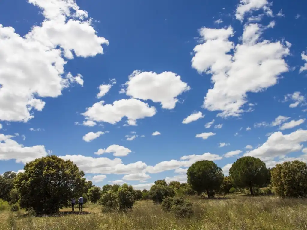 Finca rústica en venda en Navalcarnero