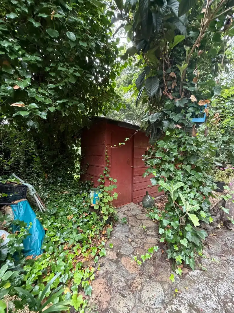 Terreno rustico in vendita a El Bebedero - Pinolere - Aguamansa, imagen 57
