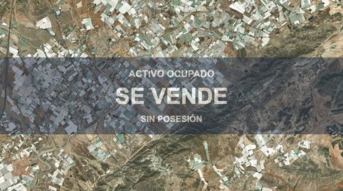 Foto 4 von Wohnung zum Verkauf in San Isidro - Campohermoso, Níjar