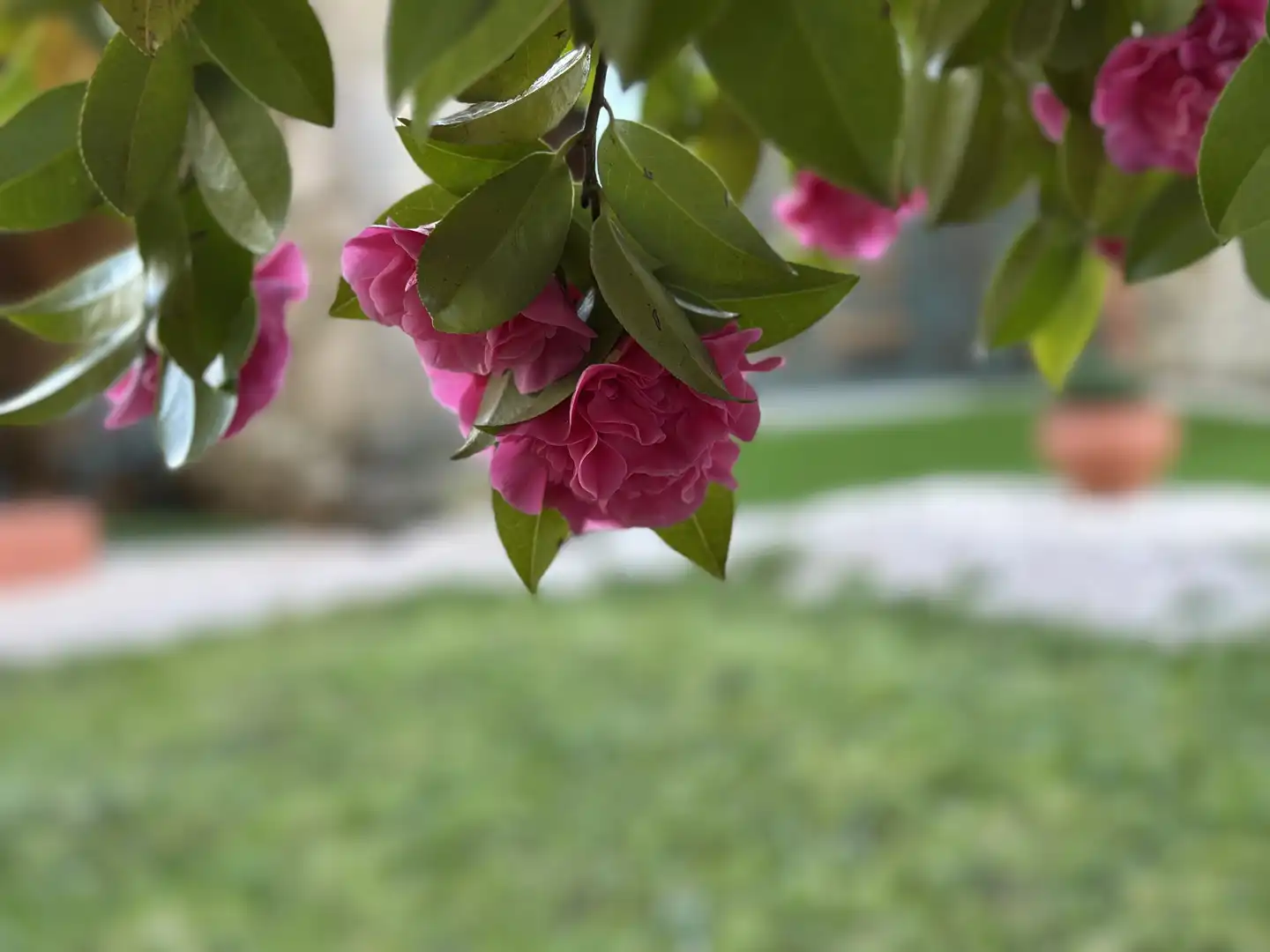 Jardín de Finca rústica en venta en Teo con Calefacción, Terraza y Trastero