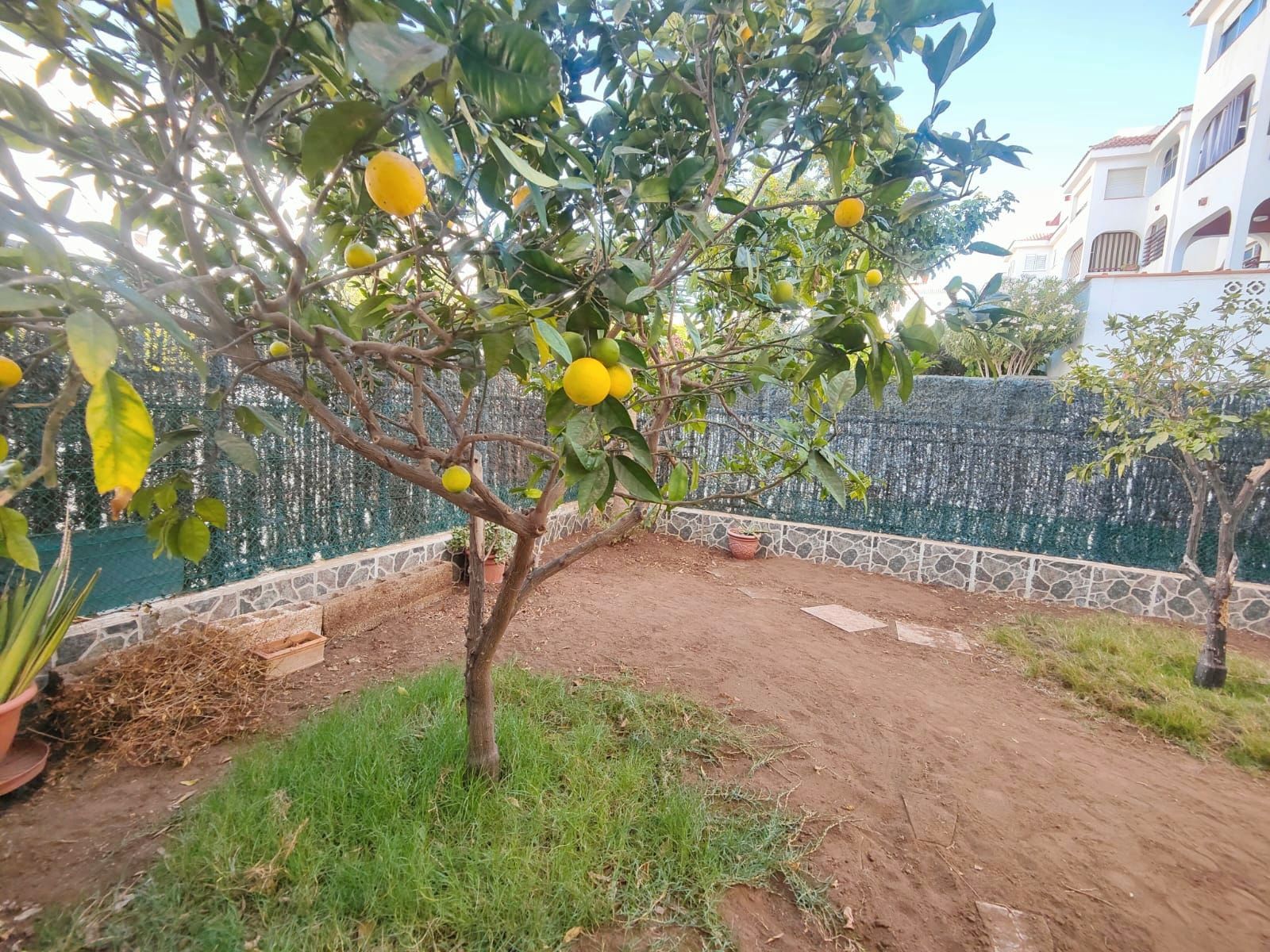 Garden of Planta baja for sale in Arona  with Private garden, Terrace and Furnished