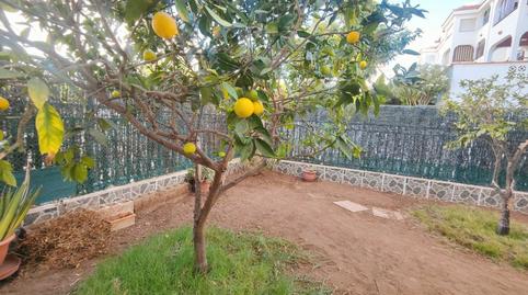 Foto 2 de Planta baixa en venda a Calle Cañada Blanca, Cho - Parque de la Reina, Santa Cruz de Tenerife