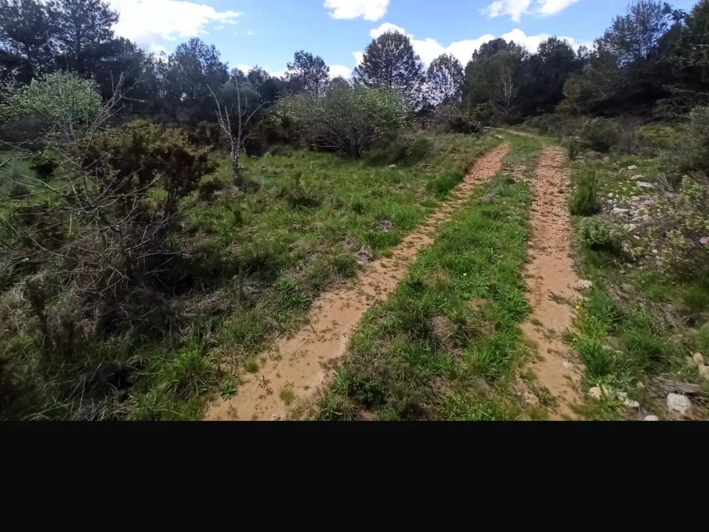 Rural land for sale in Poligono 1, imagen 10