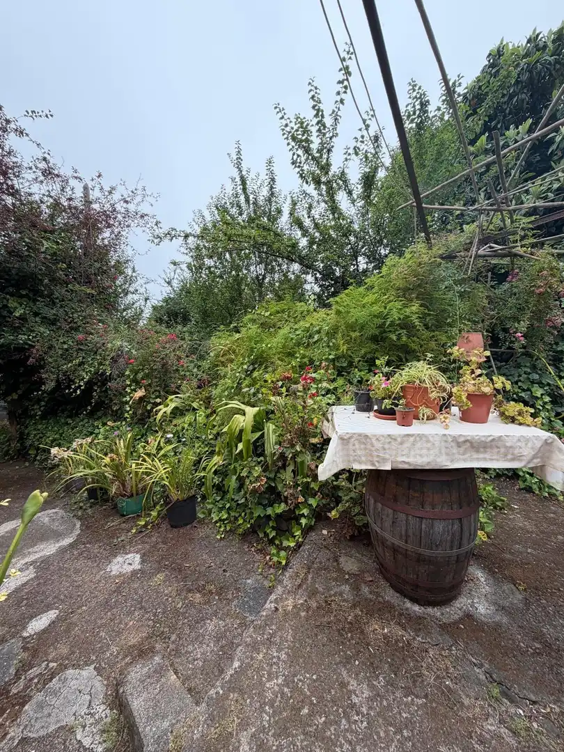 Terreno rustico in vendita a El Bebedero - Pinolere - Aguamansa, imagen 28