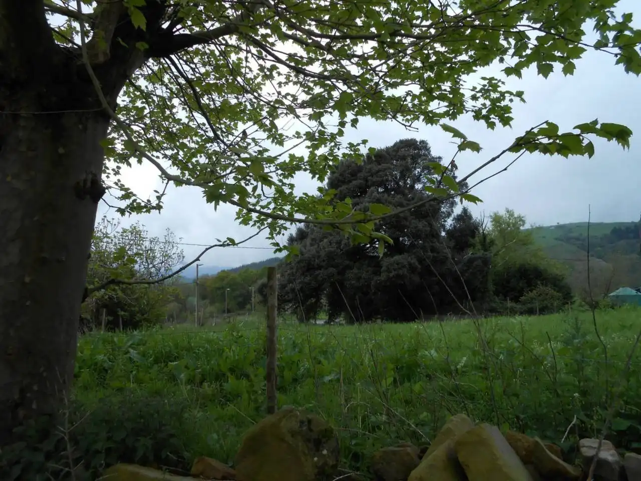 Terreno rustico in vendita a Karrantza Harana/Valle de Carranza