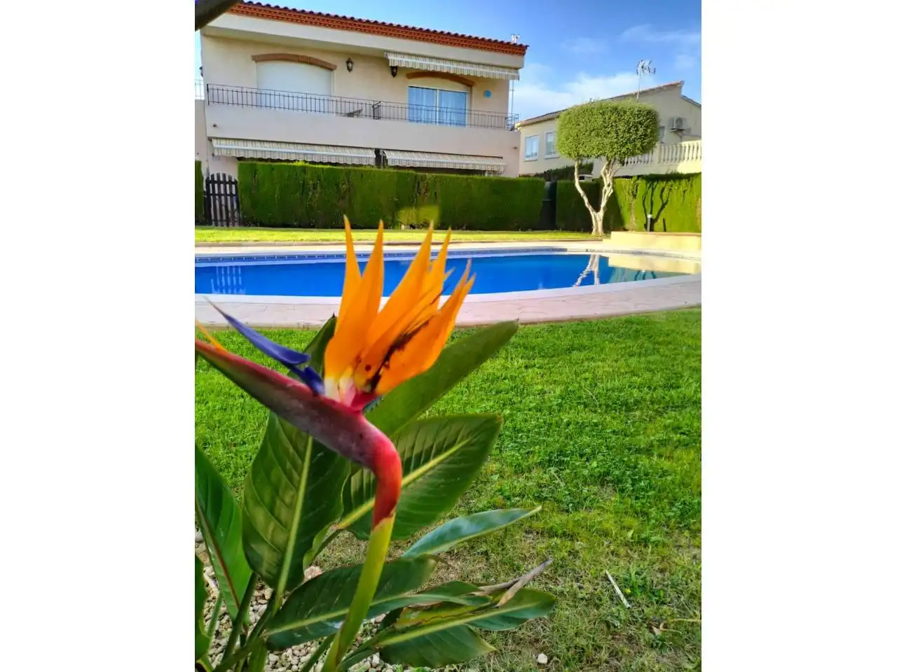 Piscina de Casa o xalet en venda en Mont-roig del Camp amb Aire condicionat, Calefacció i Terrassa
