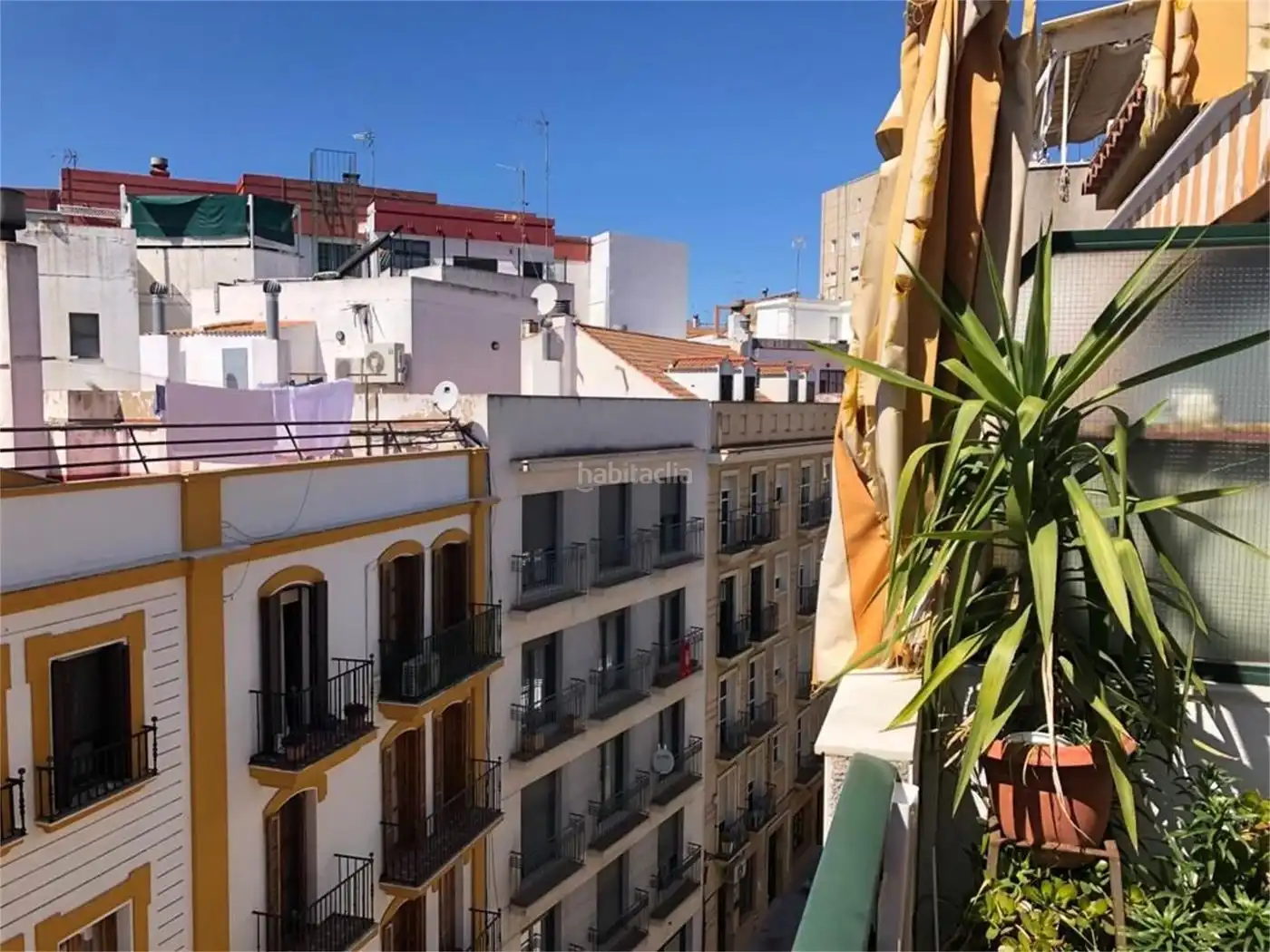 Ático con ascensor en venta en Calle Palos de la Frontera 13, imagen 7