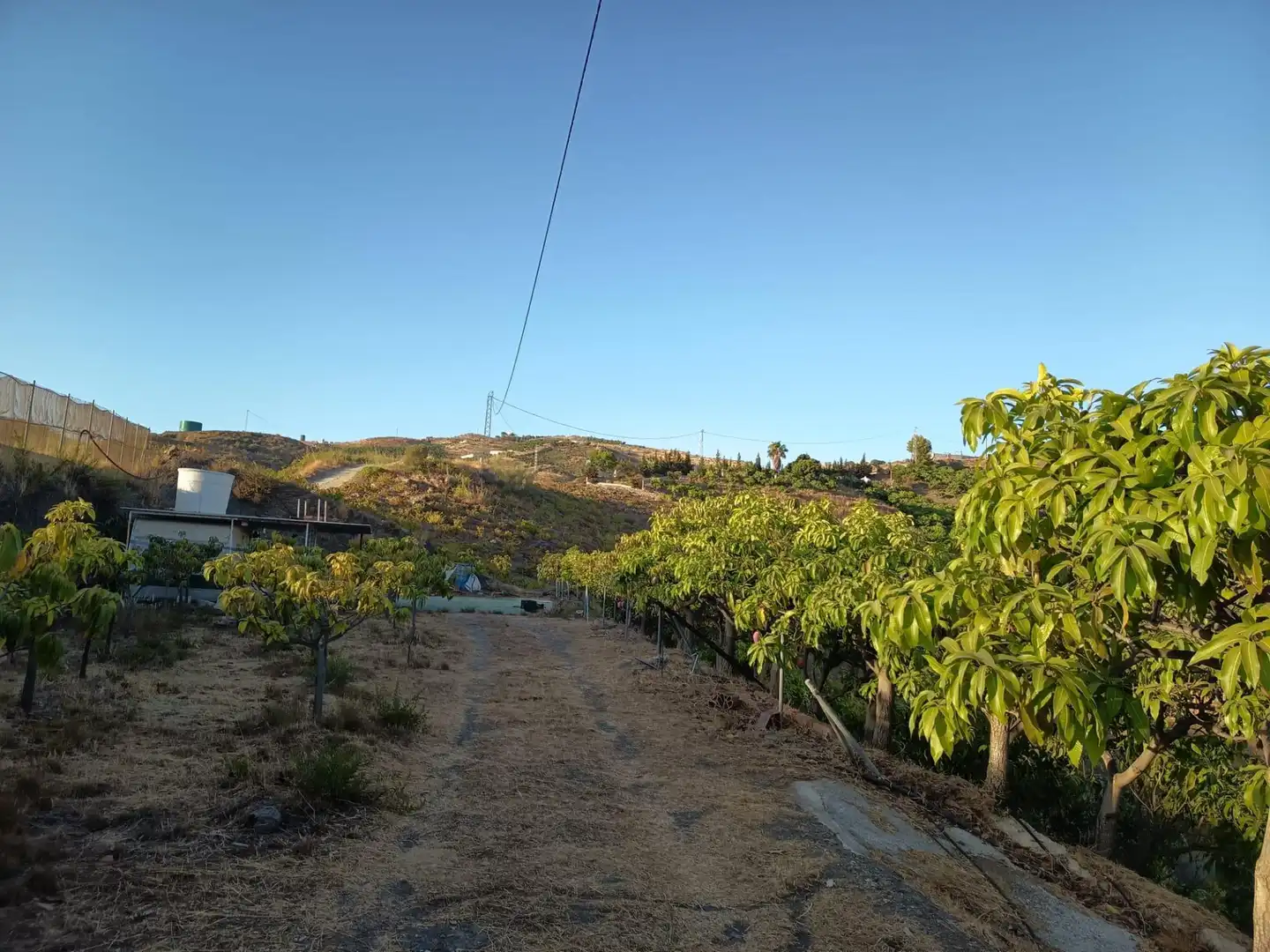 Terrenys i solars en venda a Canillas de Aceituno, imagen 23