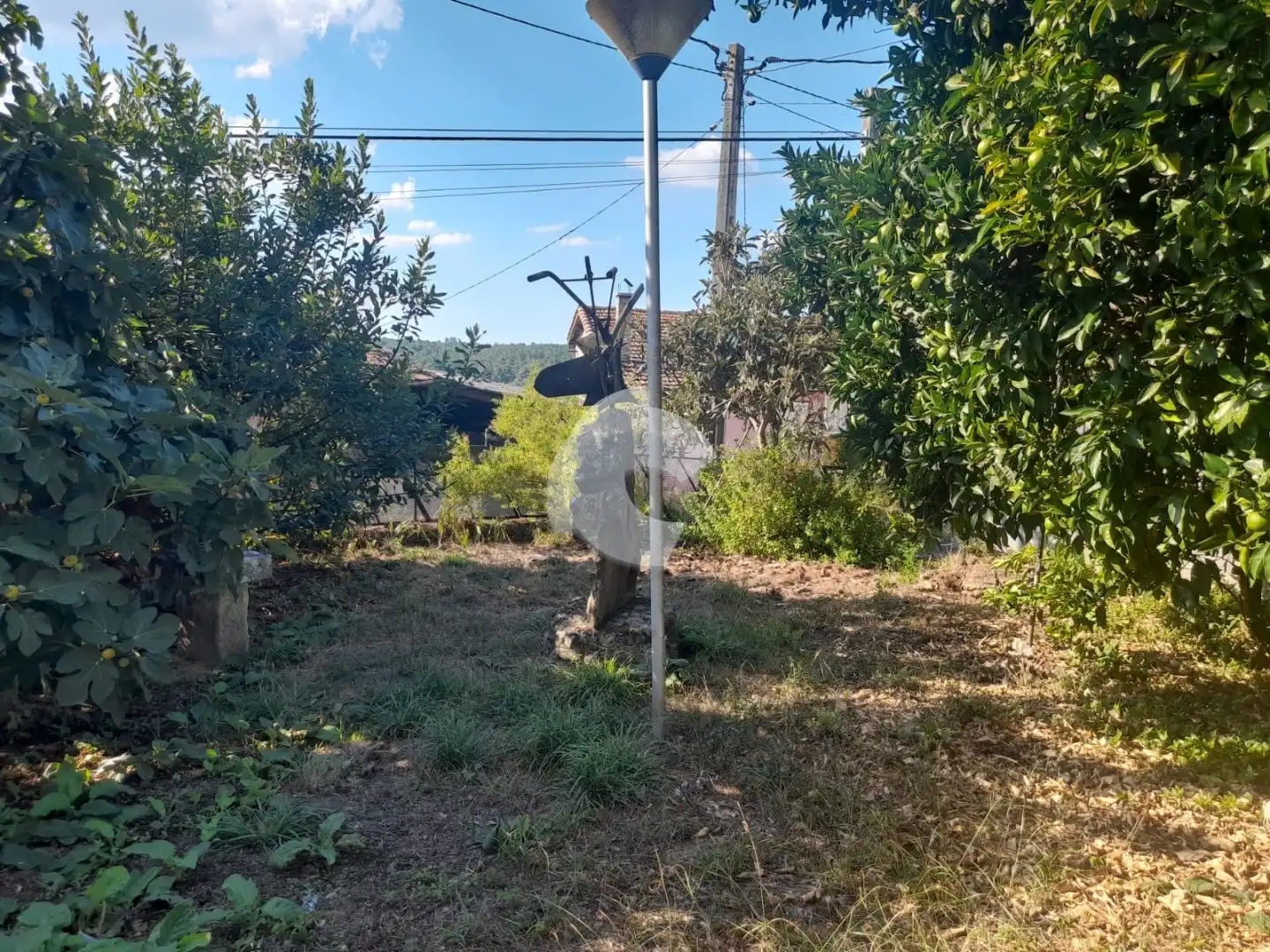 Detached homes for sale in Ourense Capital   with Private garden