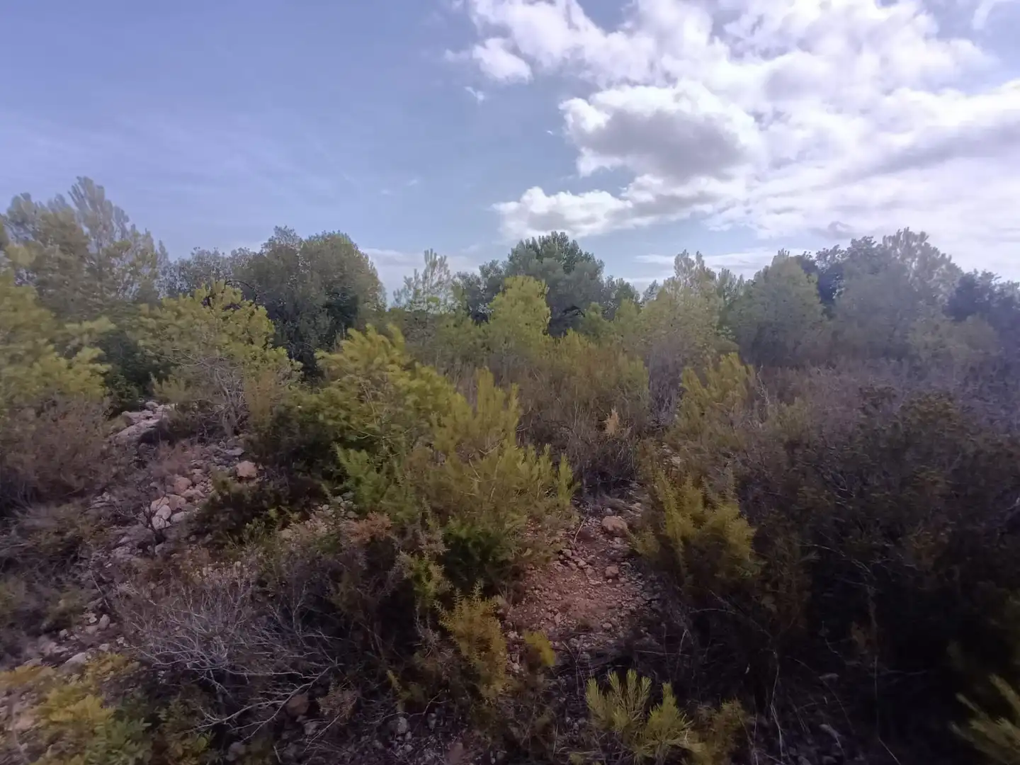 Landhaus zum Verkauf in Polígono Camí del Lligallo de Manra, imagen 10
