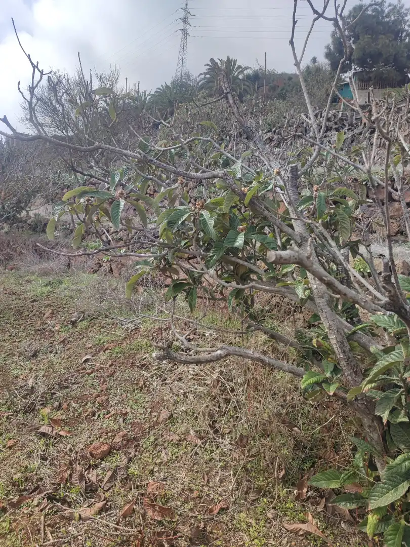 Terreny en venda en San Cristóbal de la Laguna