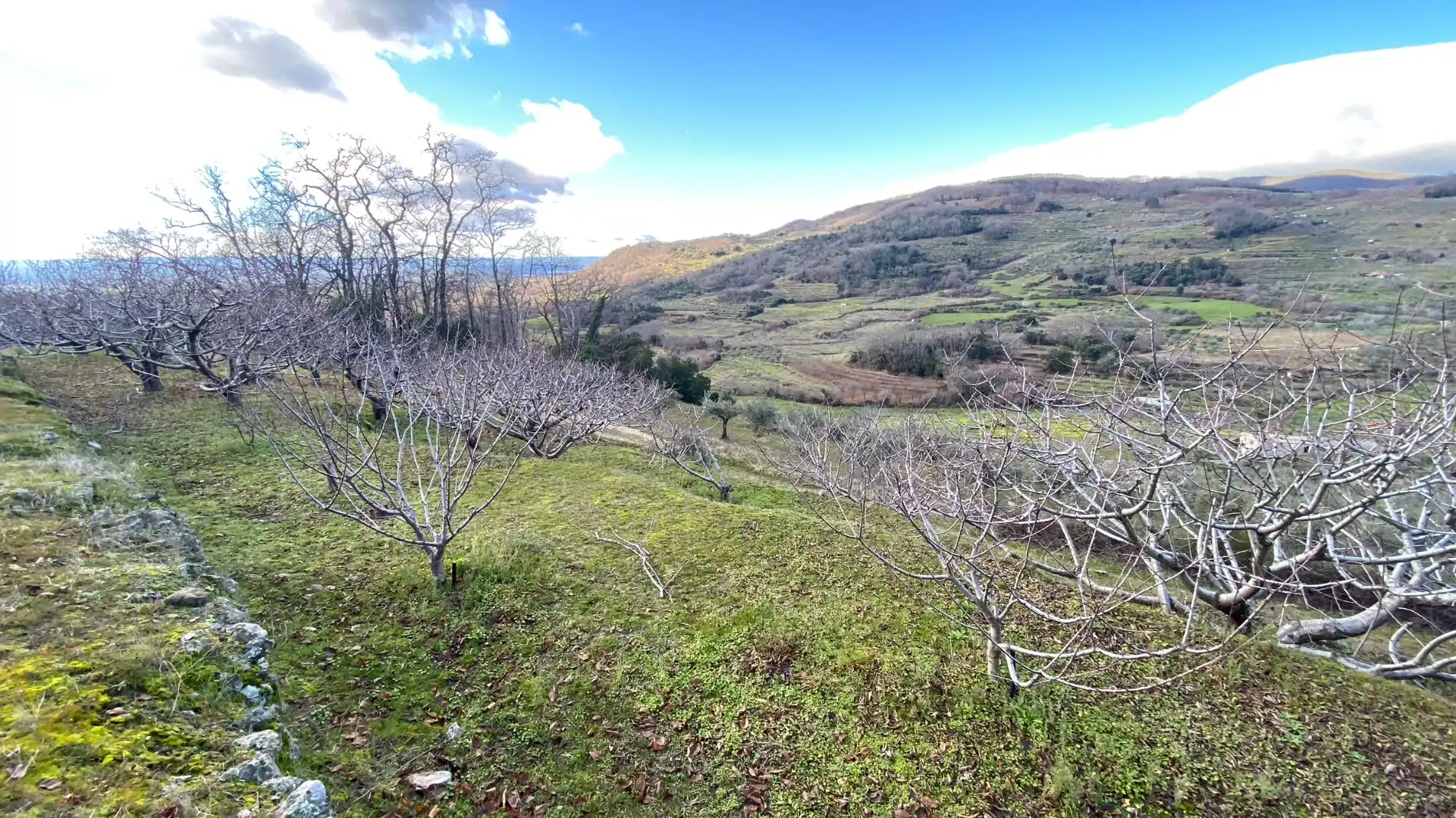 Terreni e lotti in vendita a Pasarón de la Vera, imagen 18