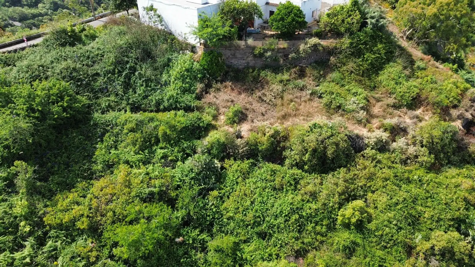 Casa o chalet en venta en Teror con Jardín privado