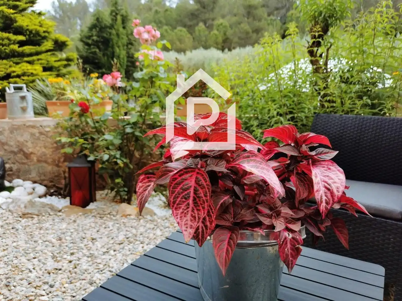 Haus zur Miete in nou de la salut, imagen 15