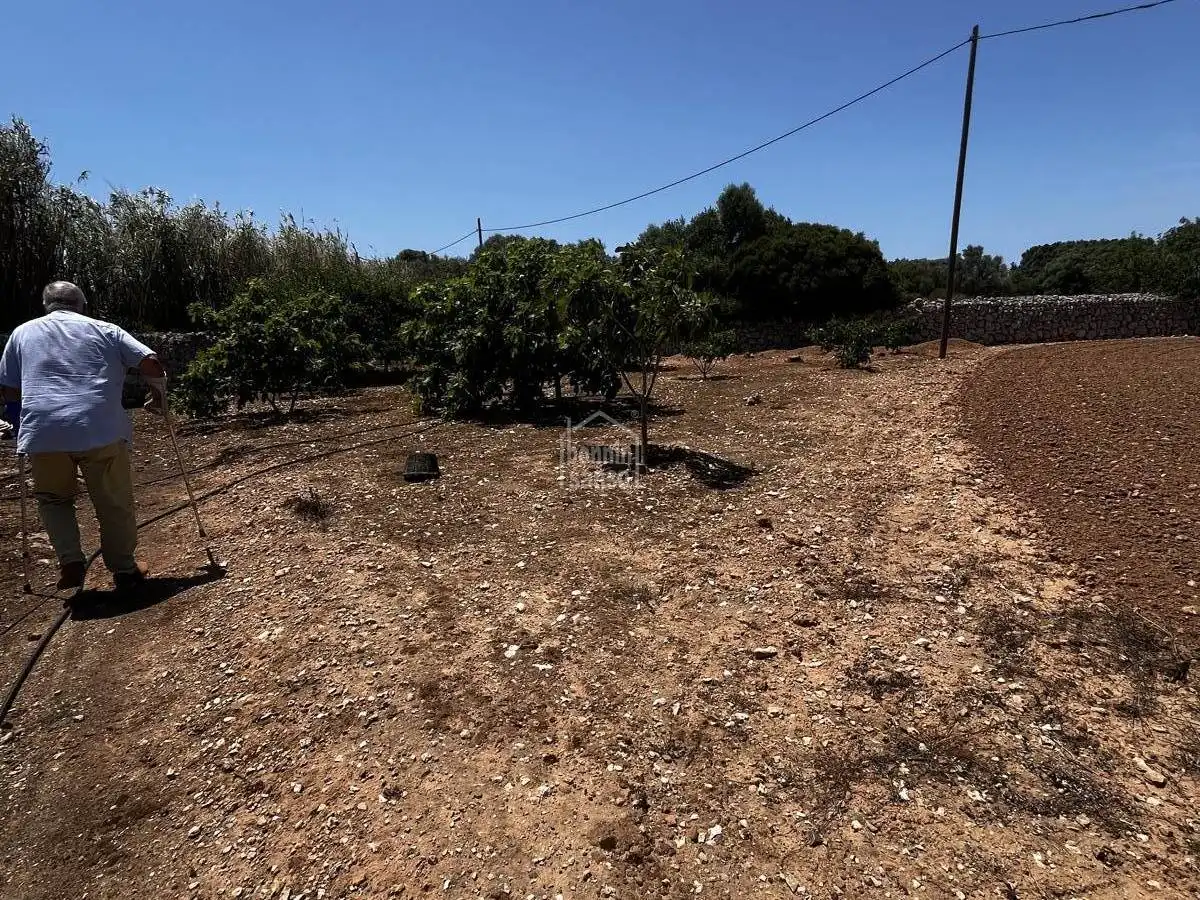 Finca rústica en venda en Maó - Mahón