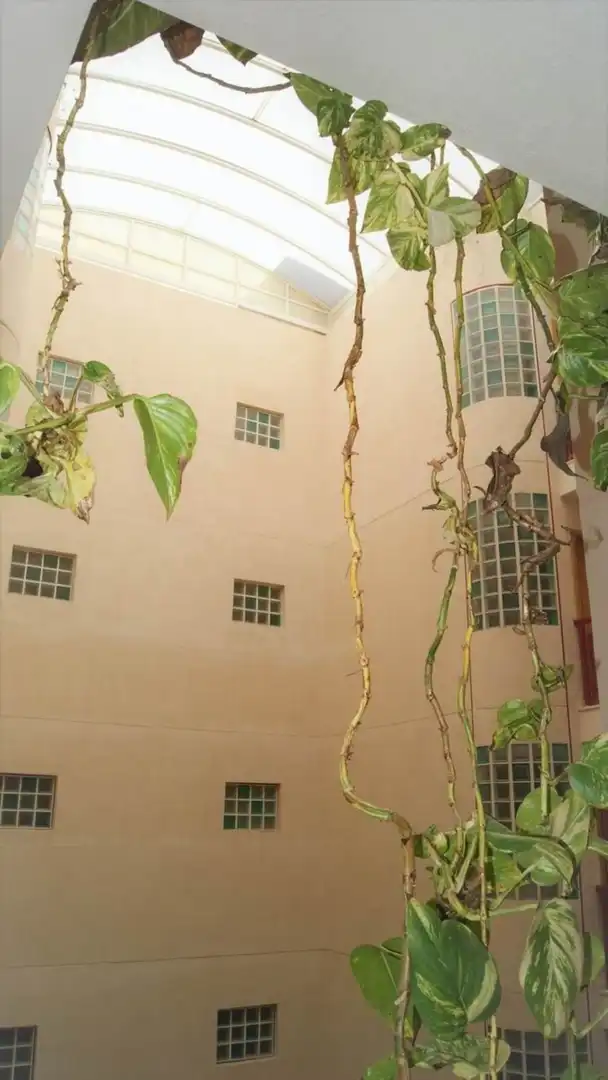 Vista exterior de Àtic de lloguer en Alicante / Alacant amb Jardí privat, Terrassa i Moblat