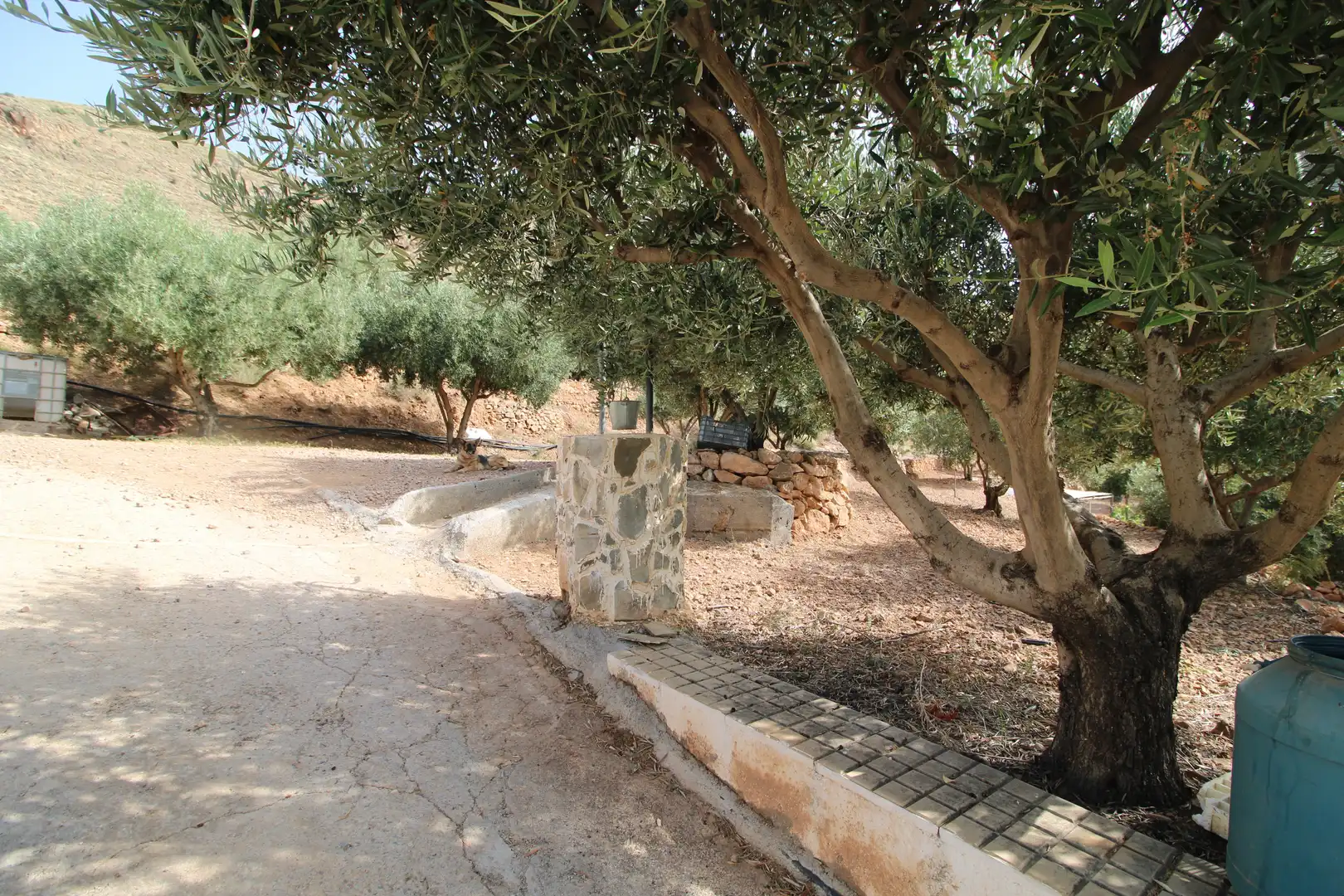 Jardí de Finca rústica en venda en Dalías