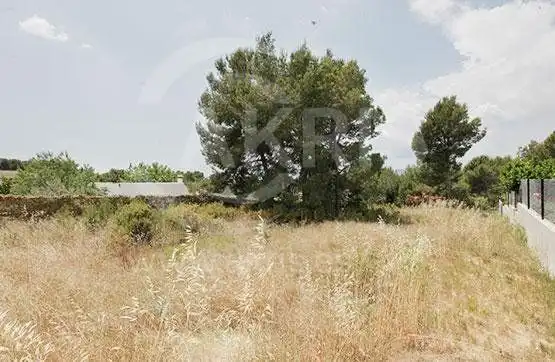 Rural land for sale in Alio, imagen 2