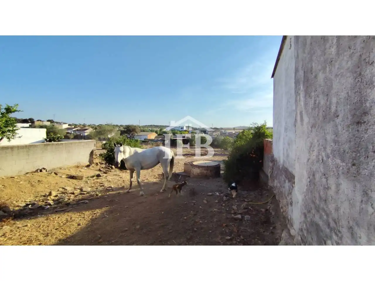 Rural land for sale in Calle San Lorenzo, imagen 20