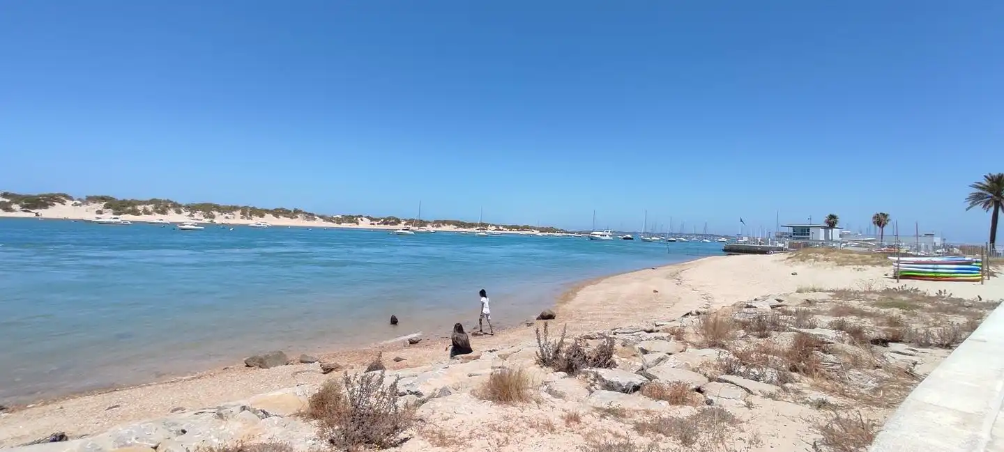 Vista exterior de Casa o chalet en venta en Chiclana de la Frontera con Aire acondicionado, Jardín privado y Terraza