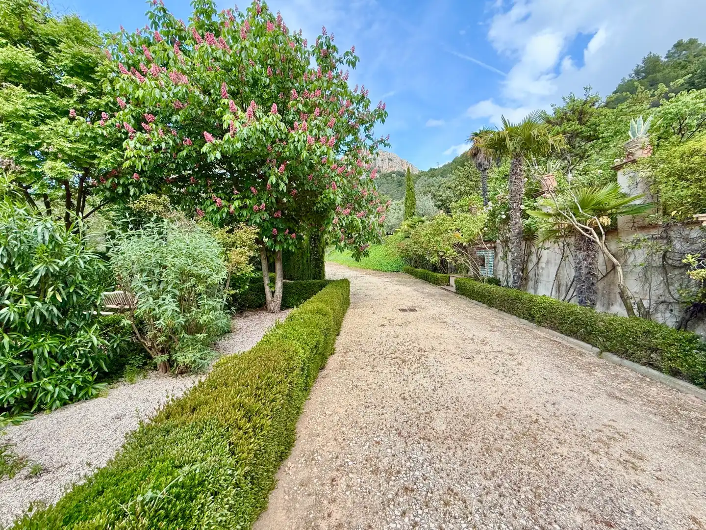 Jardí de Finca rústica en venda en Alcoleja amb Aire condicionat, Jardí privat i Terrassa