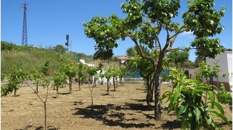 Foto 5 de Finca rústica en venda a Partidas Norte, Ronda