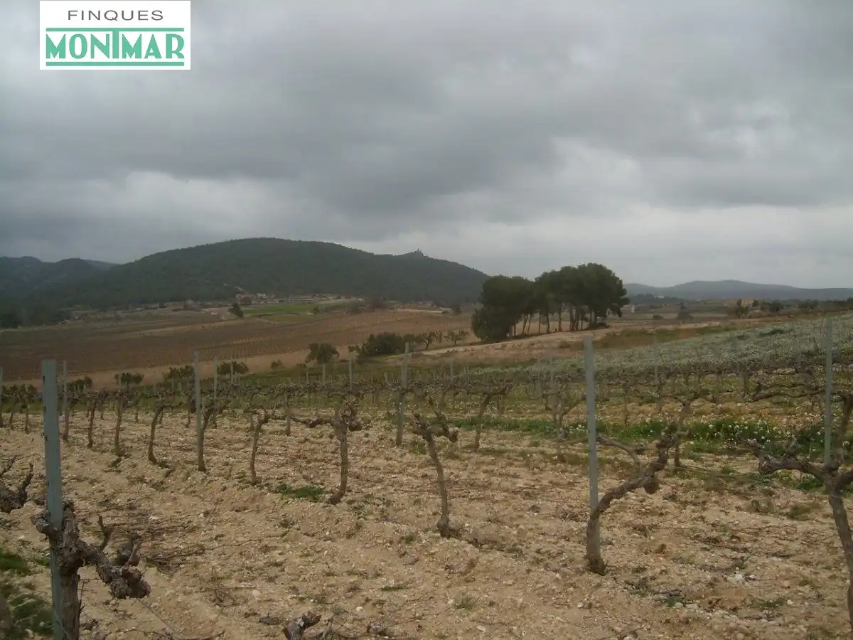 Country homes for sale in Sant Jaume dels Domenys  with Private garden and Storage room