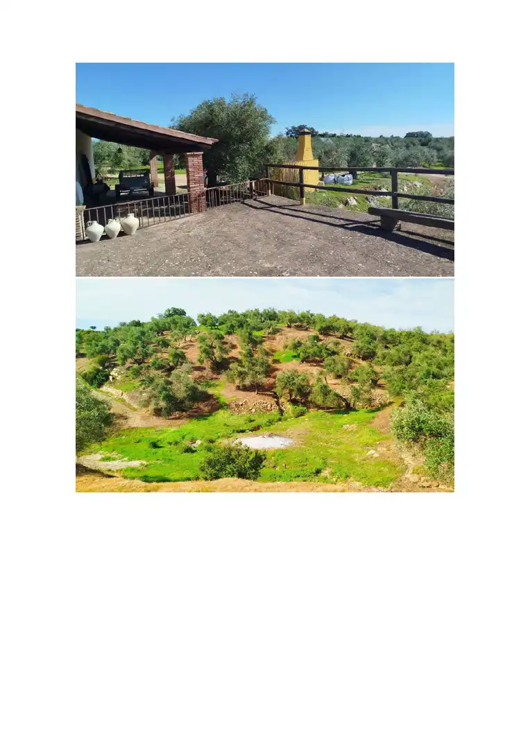 Terreno en venta en Hornachuelos