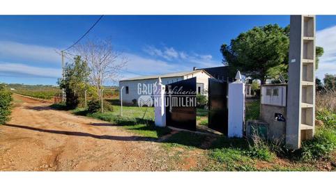 Foto 2 de Finca rústica en venta en Els Blasques, Turís, Valencia