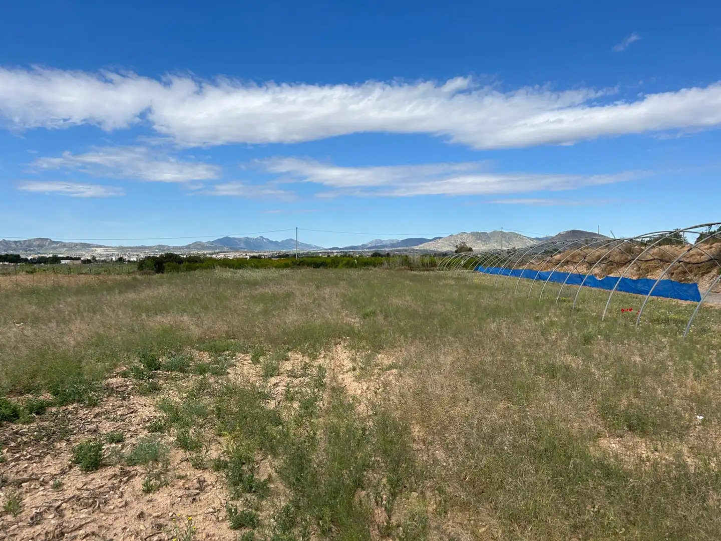 Casa o xalet en venda en Novelda amb Aire condicionat, Calefacció i Jardí privat