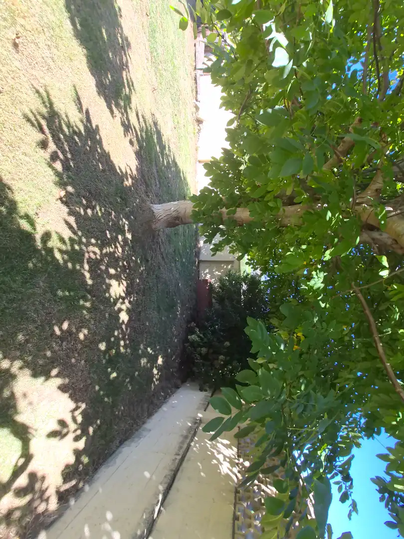 Villa con terrazza in vendita a Rúa Benito Feijóo, imagen 3