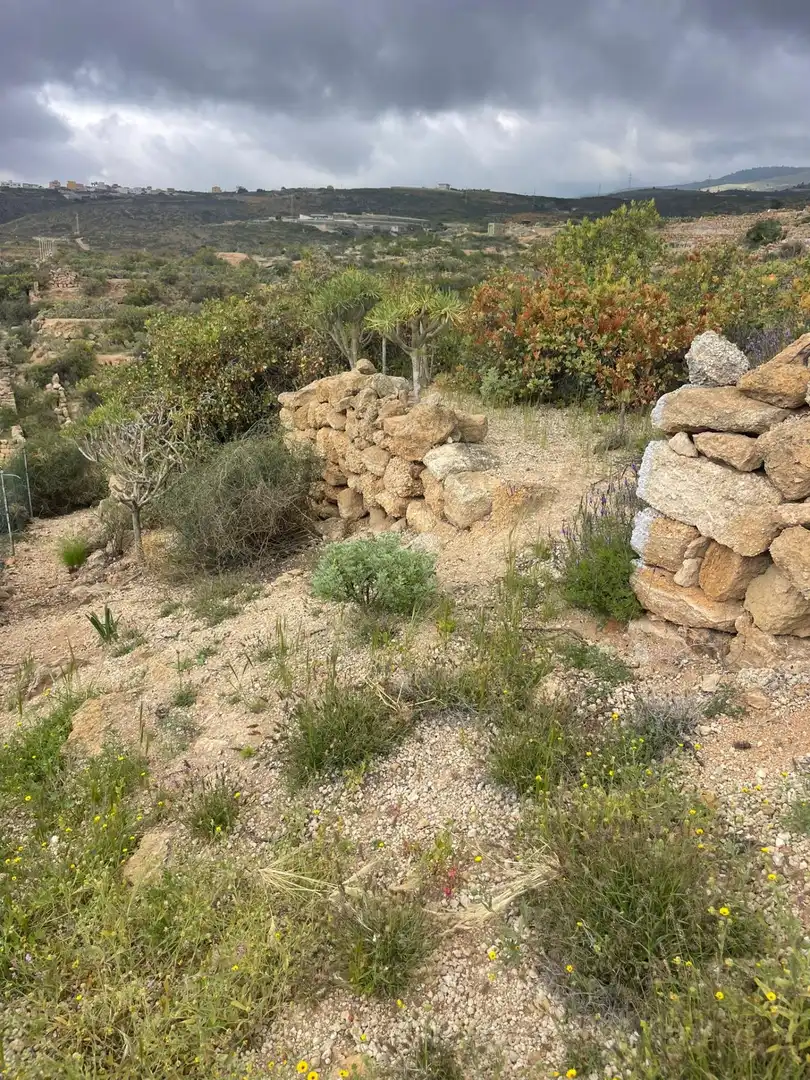 Terreno rustico in vendita a Arico, imagen 10