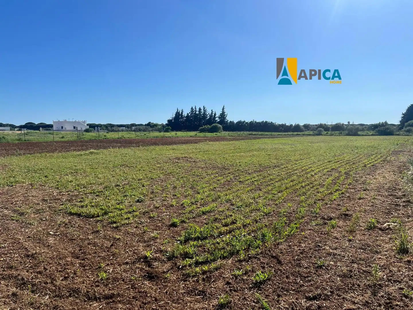 Terreno en venta en Conil de la Frontera