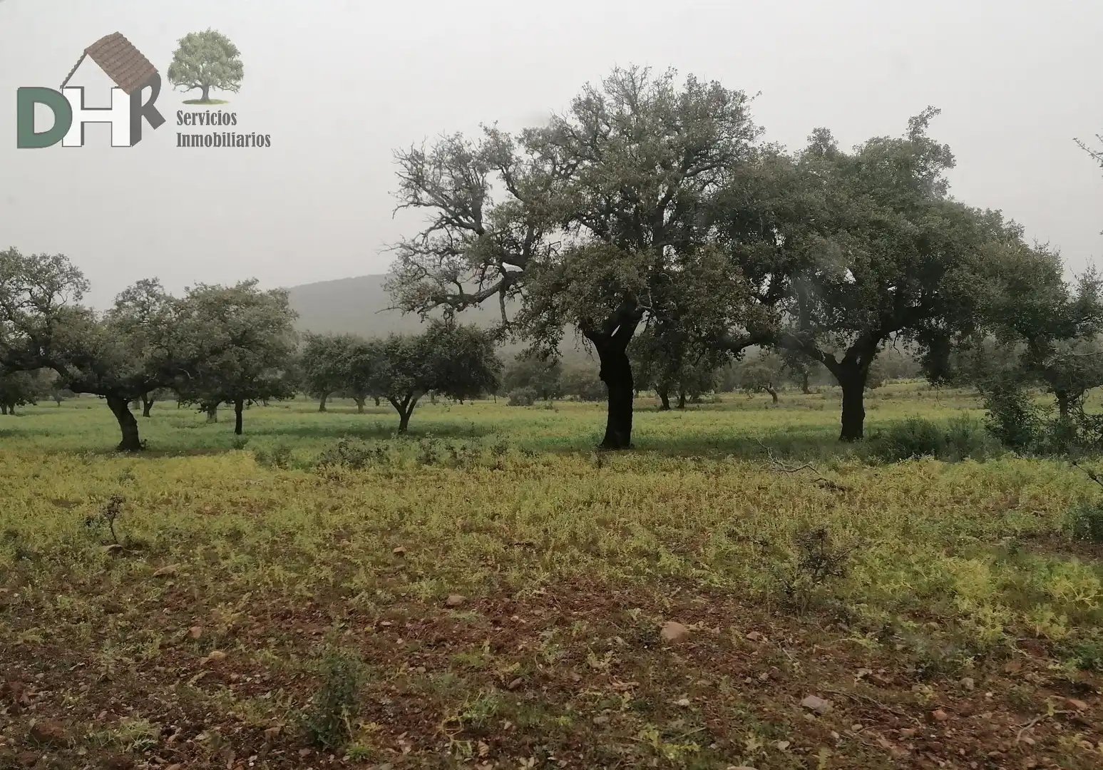 Terreni e lotti in vendita a San Roque - Ronda Norte, imagen 6