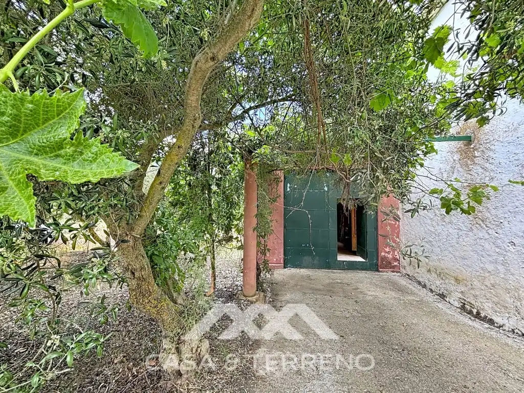 Vista exterior de Casa o chalet en venta en Alhama de Granada con Terraza