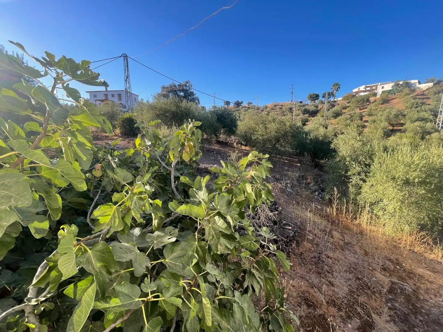 Casa rustica con giardino in vendita a Almogía, imagen 9