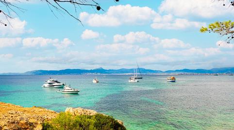 Foto 5 de Pis de lloguer a Son Verí, Illes Balears