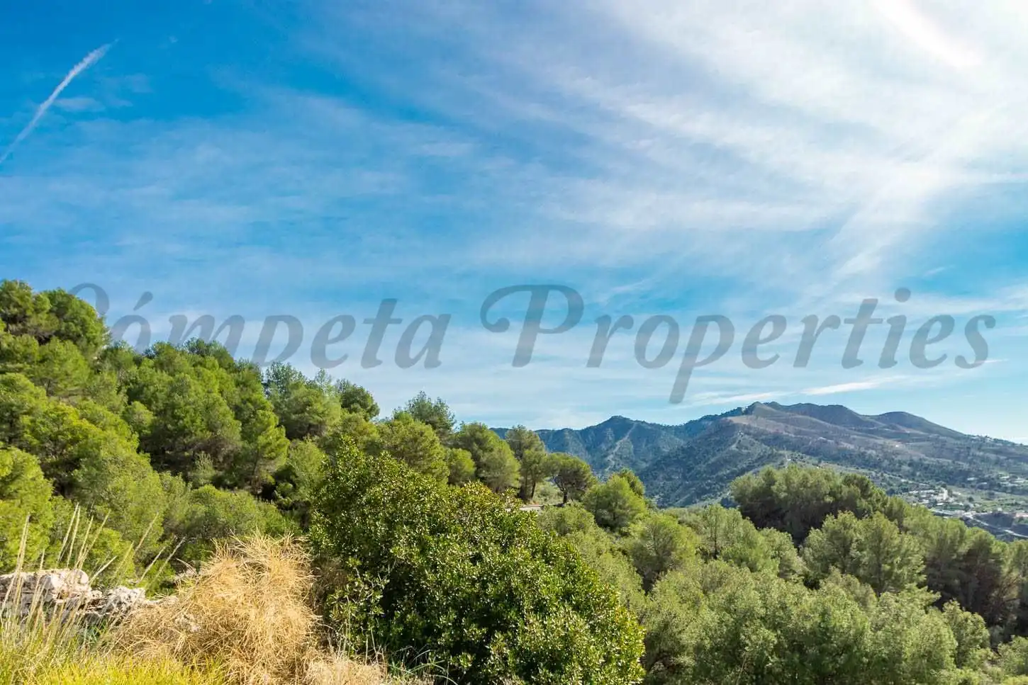 Terreny rústic en venda a Canillas de Albaida, imagen 7
