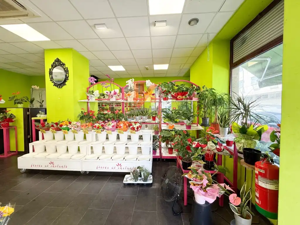 Business premises for sale in Rua Republica Arxentina 21, imagen 4