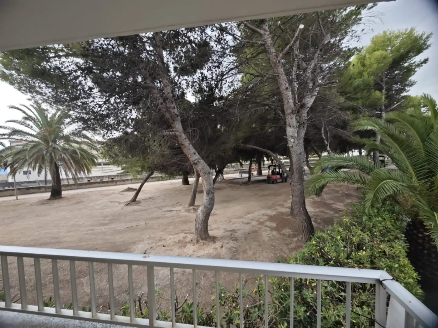 Apartament amb piscina en venda a Miramar, imagen 4