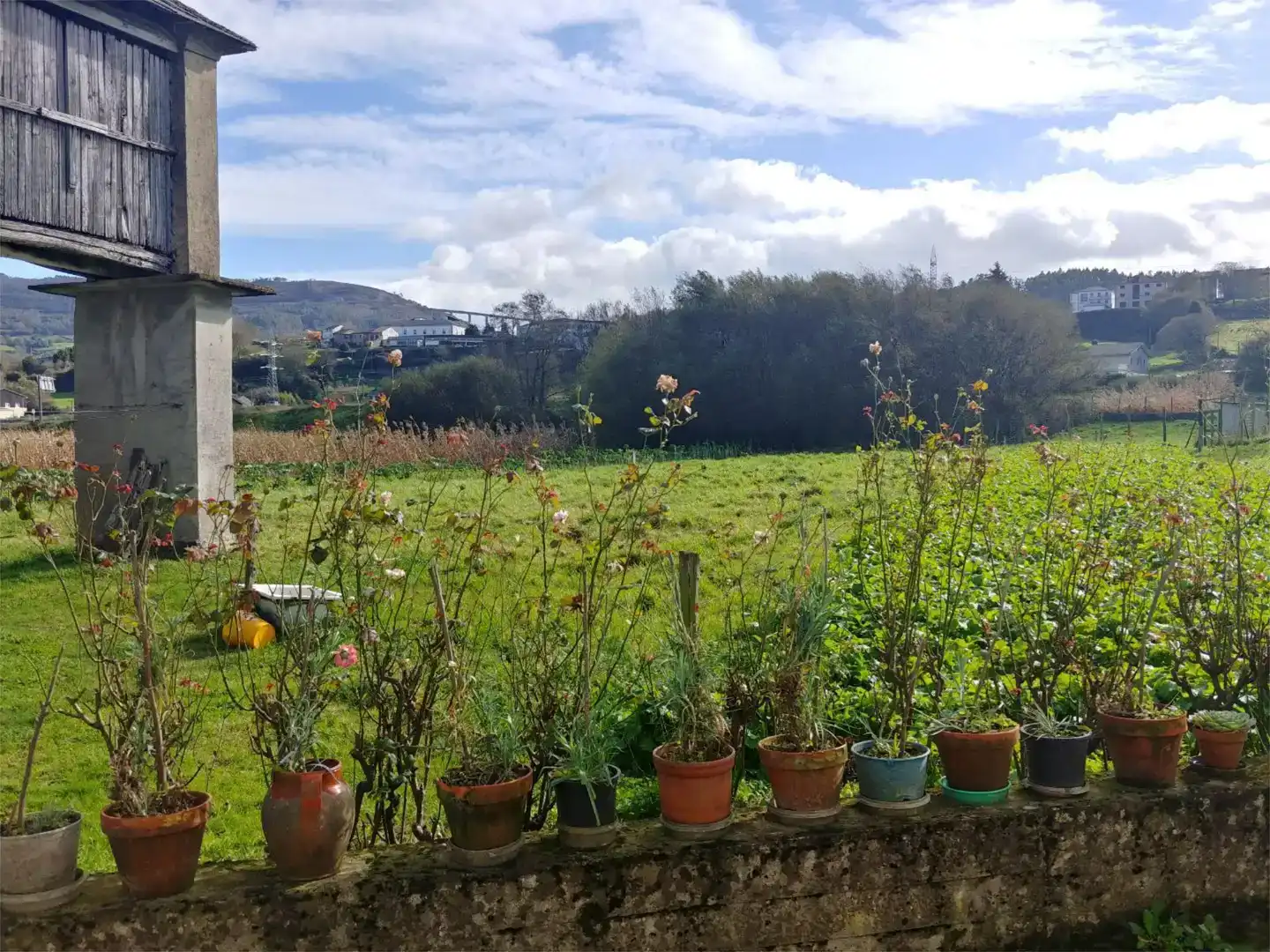 Jardín de Piso en venta en Mondoñedo