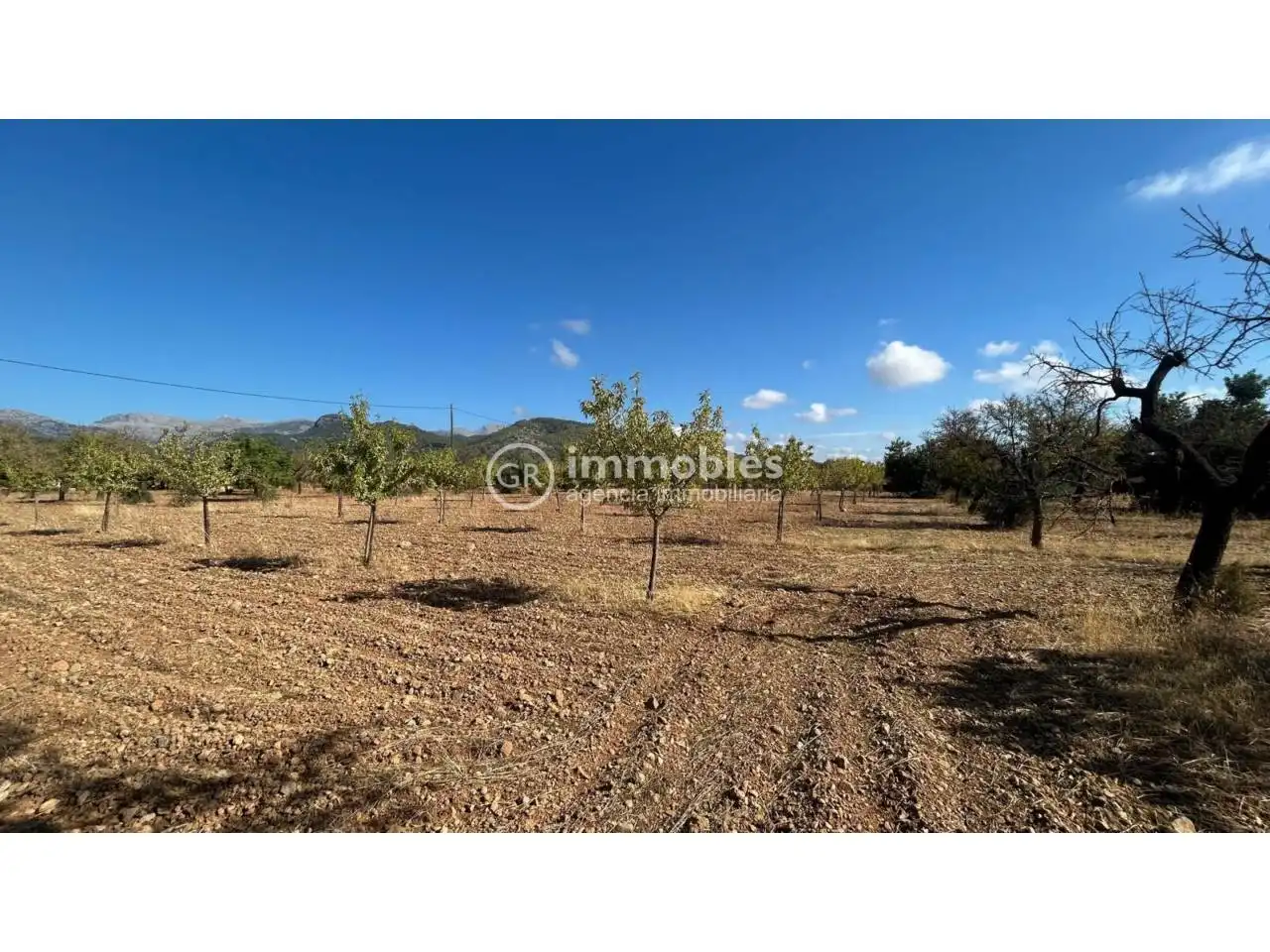 Terreno rustico in vendita a Poligono 14, imagen 4