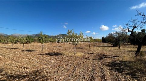 Photo 4 of Land for sale in Poligono 14, Binissalem, Illes Balears