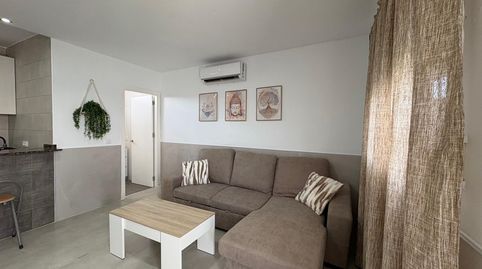 Foto 4 de Casa o xalet de lloguer a Pelagatos - Pago del Humo, Chiclana de la Frontera