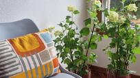 Garden of Flat to rent in A Coruña Capital 