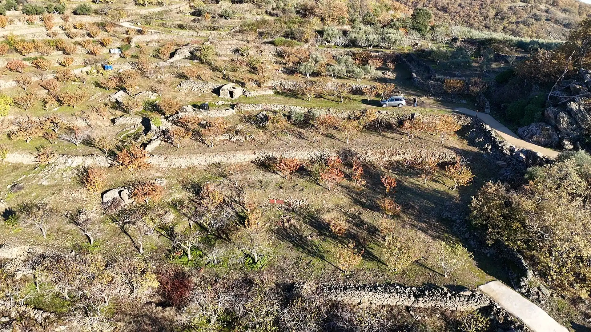 Land for sale in Arroyomolinos de la Vera